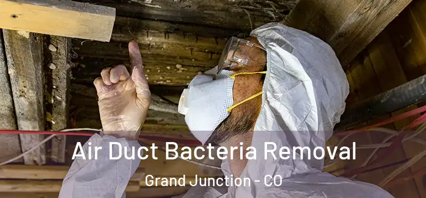  Air Duct Bacteria Removal Grand Junction - CO