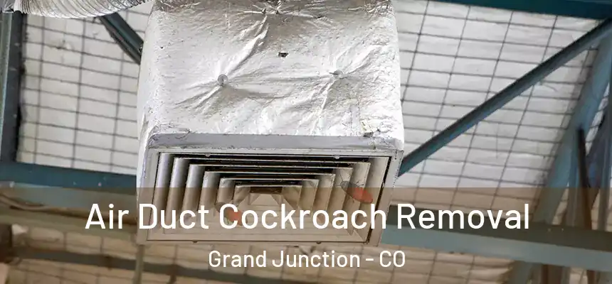  Air Duct Cockroach Removal Grand Junction - CO