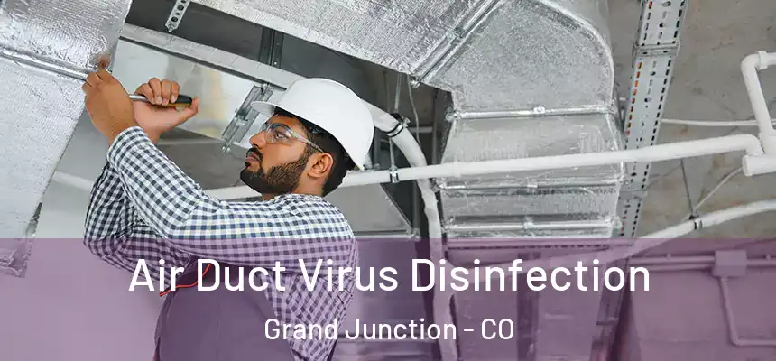  Air Duct Virus Disinfection Grand Junction - CO