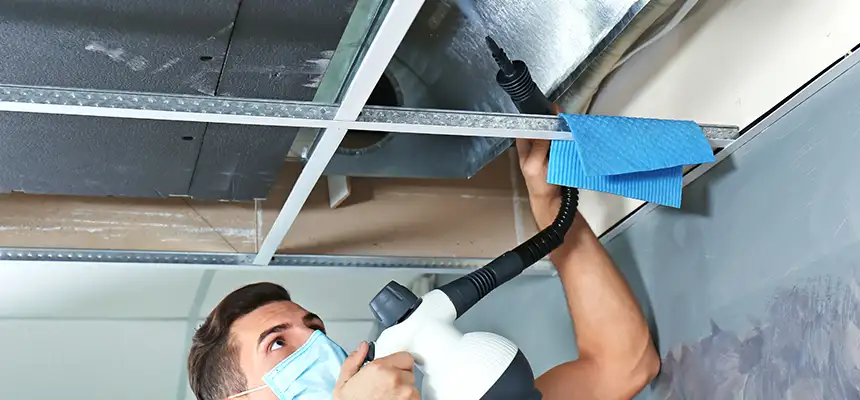 Our Air Duct Rodent Removal Services in Grand Junction, CO