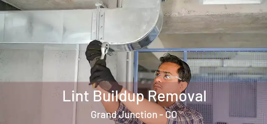  Lint Buildup Removal Grand Junction - CO