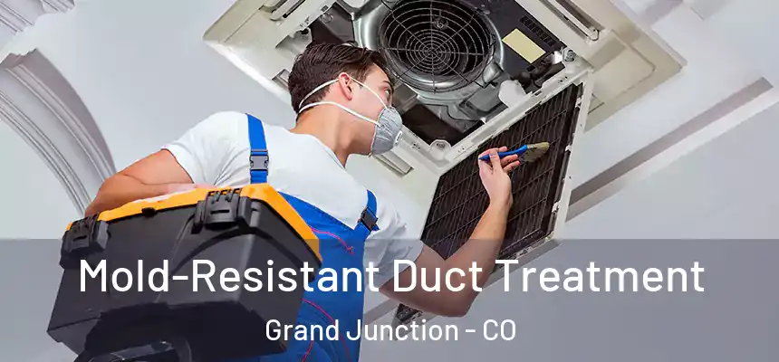  Mold-Resistant Duct Treatment Grand Junction - CO