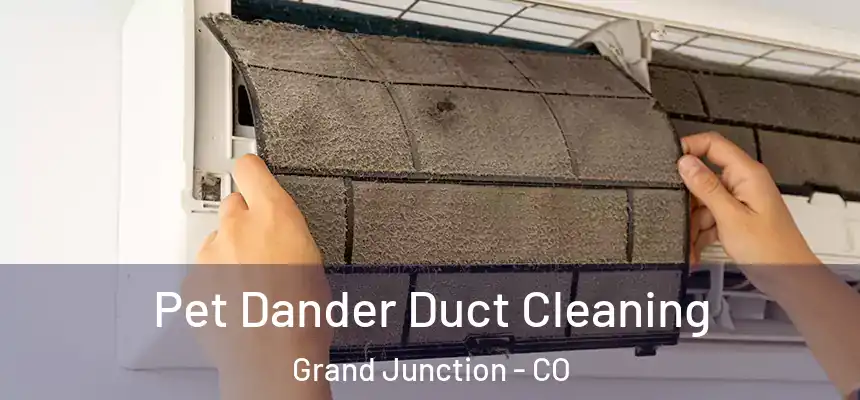  Pet Dander Duct Cleaning Grand Junction - CO
