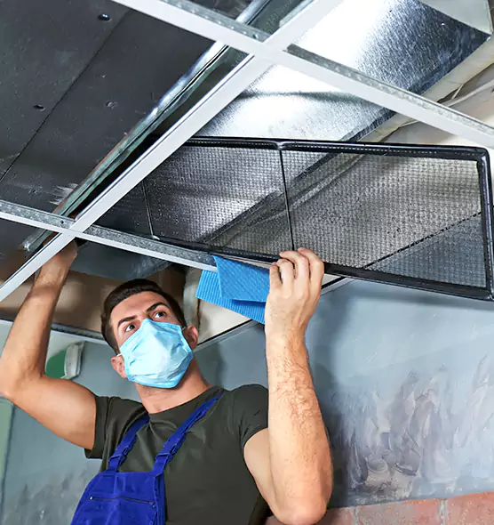 Professional Air Duct Pollen Cleaning in Grand Junction, CO