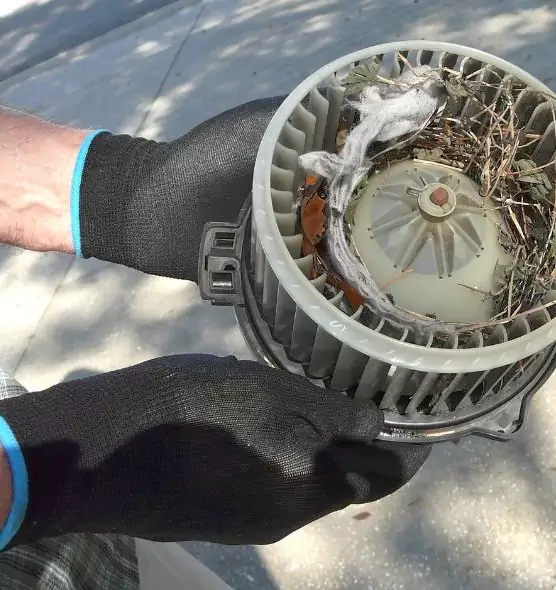 About Air Duct Rat Removal in Grand Junction, CO