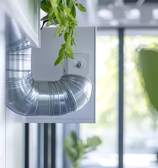 Professional Eco-Safe Dryer Vent Cleaning in Grand Junction, CO