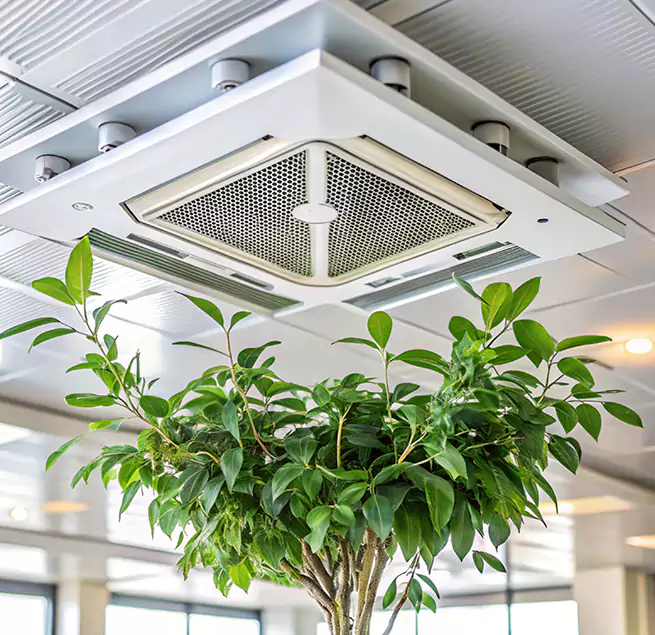 Why Homeowners & Businesses Trust Us in Grand Junction, CO?